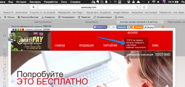 2015-08-03 15-06-37 Система приёма платежей и Агрегатор партнёрских программ.