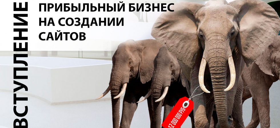 Прибыльный бизнес на создании сайтов